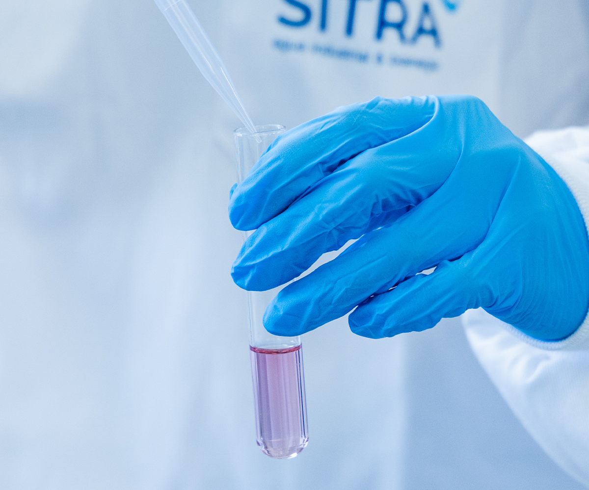 Imagen sita-TYP-2