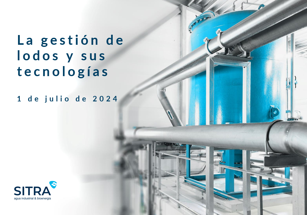 prueba1 prueba1